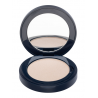 Kryolan High Glow švytinti pudra