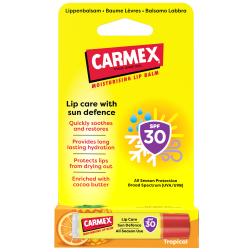 CARMEX Sun Defence Stick SPF30