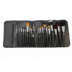 Erdesa profesionalių...