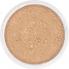 Kryolan Anti-Shine matinė biri pudra, 10g.